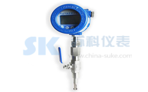 插入式熱式氣體質(zhì)量流量計(jì)圖示