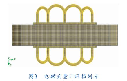 電磁流量計(jì)網(wǎng)格劃分圖示